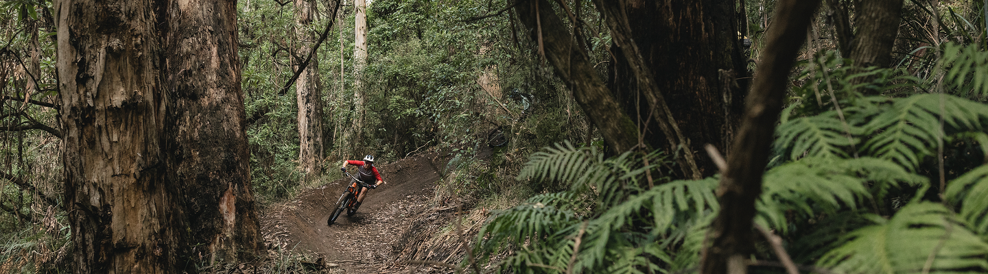 Trail Placeholder Image