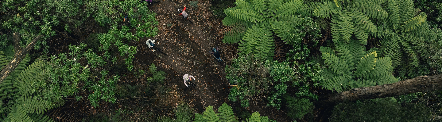 Trail Header Image