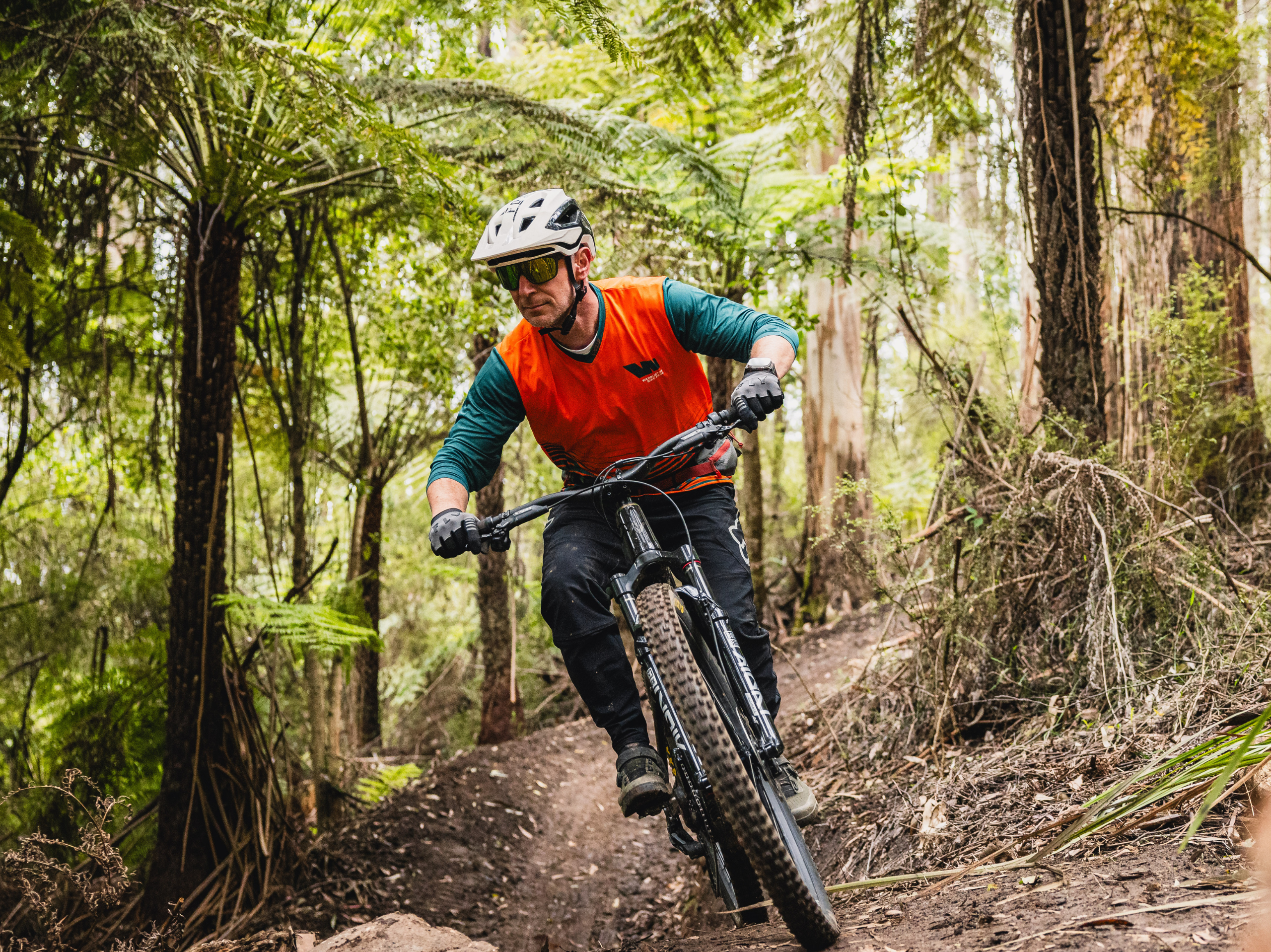 Choose your adventure