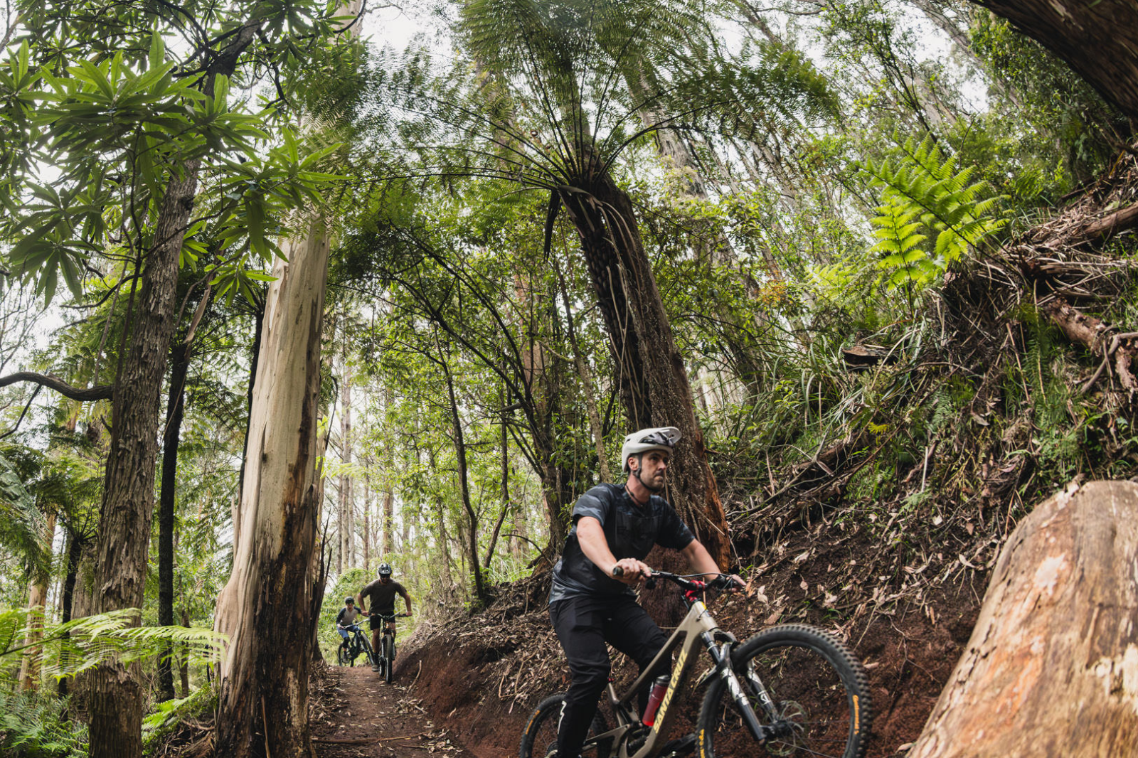 https://warburtonbikepark.com.au/app/uploads/2026/01/Gallery-images-2.png