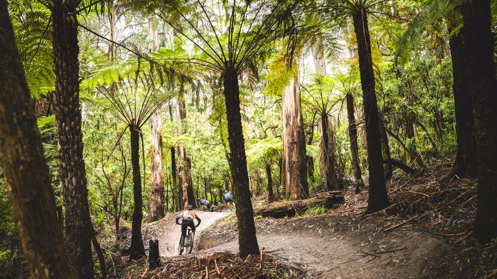 Flow Mountain Bike: Warburton Bike Park Stage 1 | The First 30km Is Just the Beginning
